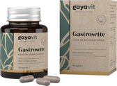 Gastrosette - Spijsvertering - Vetvertering - Opgeblazen gevoel - Normalisatie Darmfunctie