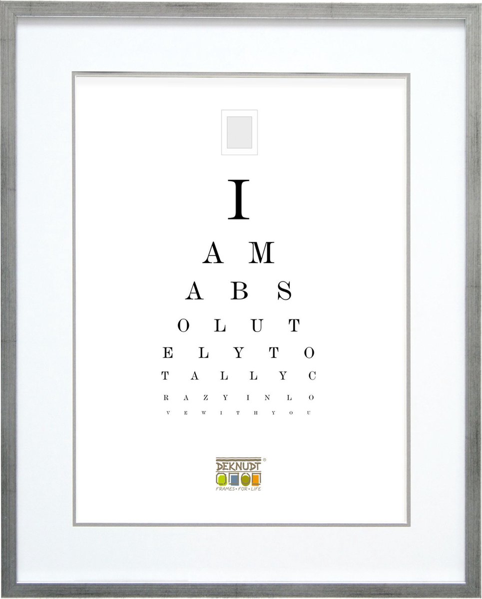 Deknudt Frames fotolijst S43AD1 P1 - zilver - passe-partout - 20x30 cm