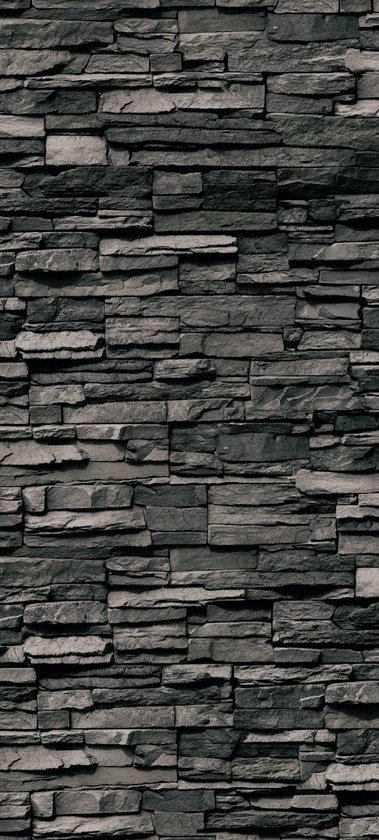 Schulte DecoDesign, paroi arrière de douche en Decor stone anthracite 613, taille 150x255 cm, EP1901525 613 (D1901525 613)