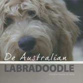 De Australische Labradoodle