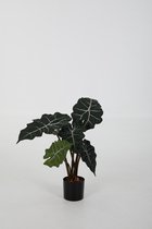 Alocasia kunstplant - skeletplant - topkwaliteit kamerplant - 47 cm hoog