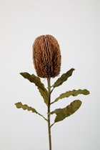 Kunsttak - Banksia - topkwaliteit decoratie - 2 stuks - zijden tak- paars - 65 cm hoog