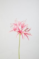 Kunstbloem - Campanula - topkwaliteit decoratie - 2 stuks - zijden bloem - wit - 77 cm hoog