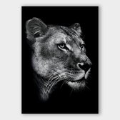 Poster Dark Lioness - Dibond - Meerdere Afmetingen & Prijzen | Wanddecoratie - Interieur - Art - Wonen - Schilderij - Kunst