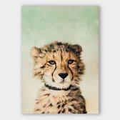 Poster Baby Cheetah - Dibond - Meerdere Afmetingen & Prijzen | Wanddecoratie - Interieur - Art - Wonen - Schilderij - Kunst