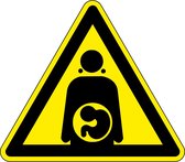 Gevaar bij zwangerschap bord - kunststof 200 mm