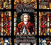 Sigiswald Kuijken & La Petite Bande - The Motets (CD)