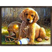 Eagle® Diamond Painting Volwassenen - Hond met Rugby - 40x30cm - Ronde Steentjes