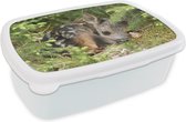 Broodtrommel Wit - Lunchbox - Brooddoos - Slapende ree - 18x12x6 cm - Volwassenen