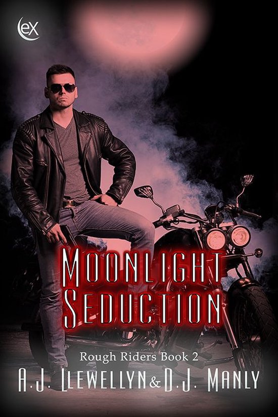 Rough Riders 2 - Moonlight Seduction (ebook), A. J. Llewellyn ...