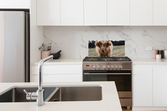 Spatscherm keuken 70x30 cm - Kookplaat achterwand Schotse hooglander - Boerderijdieren - Gras - Muurbeschermer - Spatwand fornuis - Hoogwaardig aluminium