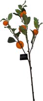 Colmore - Paastakken - Sinaasappel takken - Oranje - Decoratieve voorjaars takken - 103cm