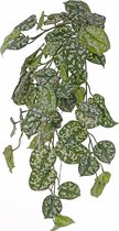 Drakenklimop - Scindapsus - Epripremnum - kunstplant - hangplant - 60 blad & uitlopers - 72cm - UV bestendig
