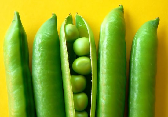 Dibond - Eten / Voeding - groeneten in groen / geel - 120 x 180 cm.