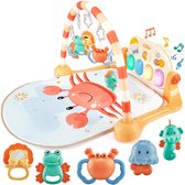 Hahaland Baby speelmat &  activiteiten speelmat inclusief gratis rammelaar voor de tandjes