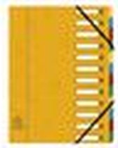 Sorteermap elasto Exacompta A4 12-vk gl