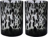 Set van 2x stuks modieuze bloemen cylinder vaas/vazen van glas 30 x 19 cm zwart fantasy - Bloemen/takken/boeketten