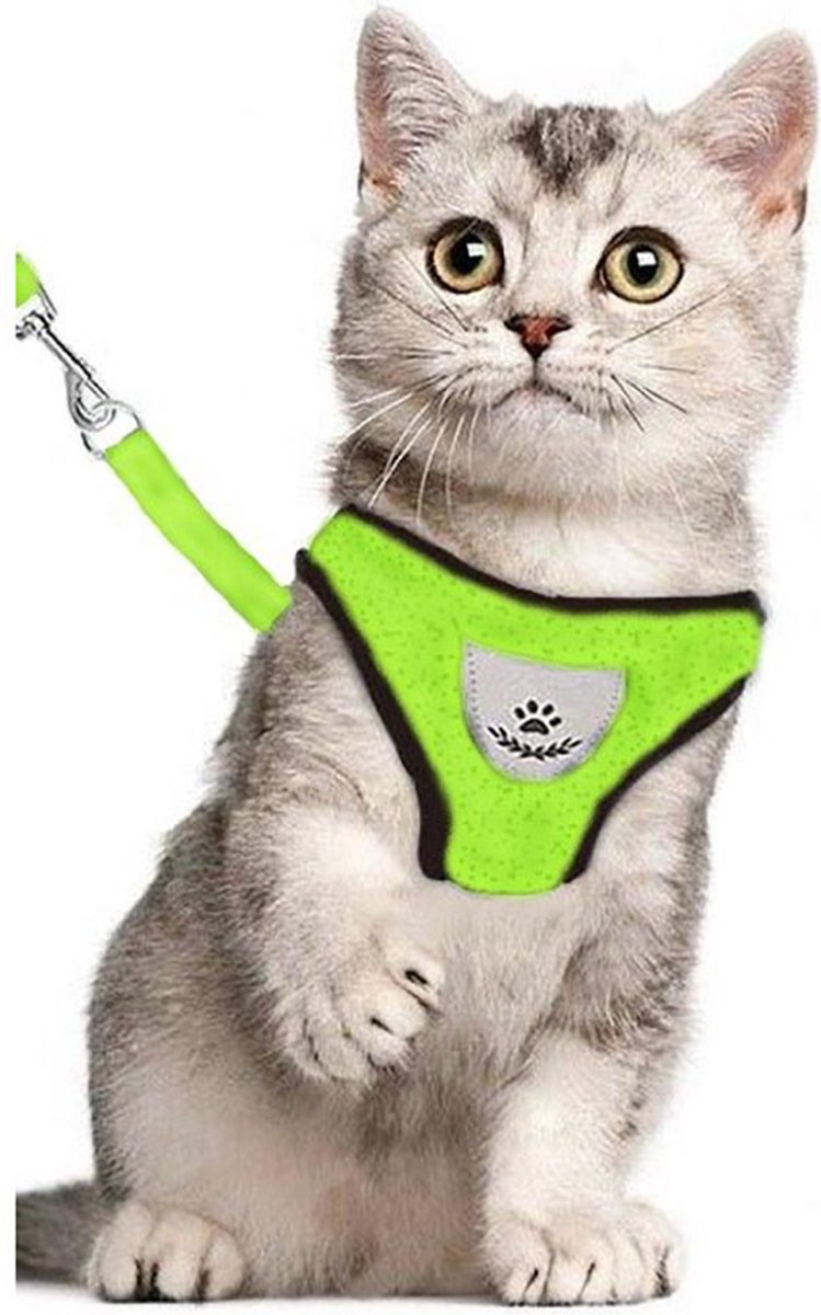 Bol.com Kattentuigje - Kattenharnas - Kattentuig Met Looplijn - Hondentuigje - Hondenharnas - Groen - Maat L aanbieding