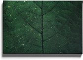 Walljar - Detailed Leaf - Muurdecoratie - Canvas schilderij