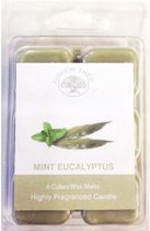 Waxmelt blokjes Mint Eucalyptus6 stuks
