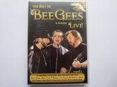 Bee Gees & Friends Live