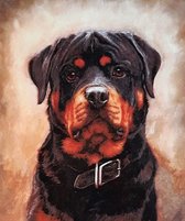 Diamond painting rottweiler 40 x 50 cm volledige bedrukking ronde steentjes direct leverbaar hond rott weiler - dog - zeer mooie afbeelding - diamant peinture