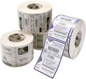 Zebra Label, Polyester, 25x8mm, Ther