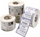 Zebra Label, Polyester, 102x102mm, T