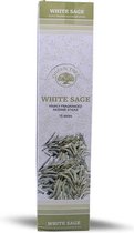 Green Tree - Wierook - Wierookstokjes - Wierooksticks - Incense sticks - Witte Salie - White Sage - 2 Pakjes