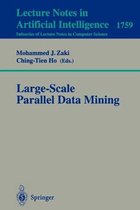 Large-Scale Parallel Data Mining