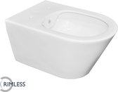 Luxe Rimless Wandcloset Met RVS Sproeier (Bidet) 53cm Wit