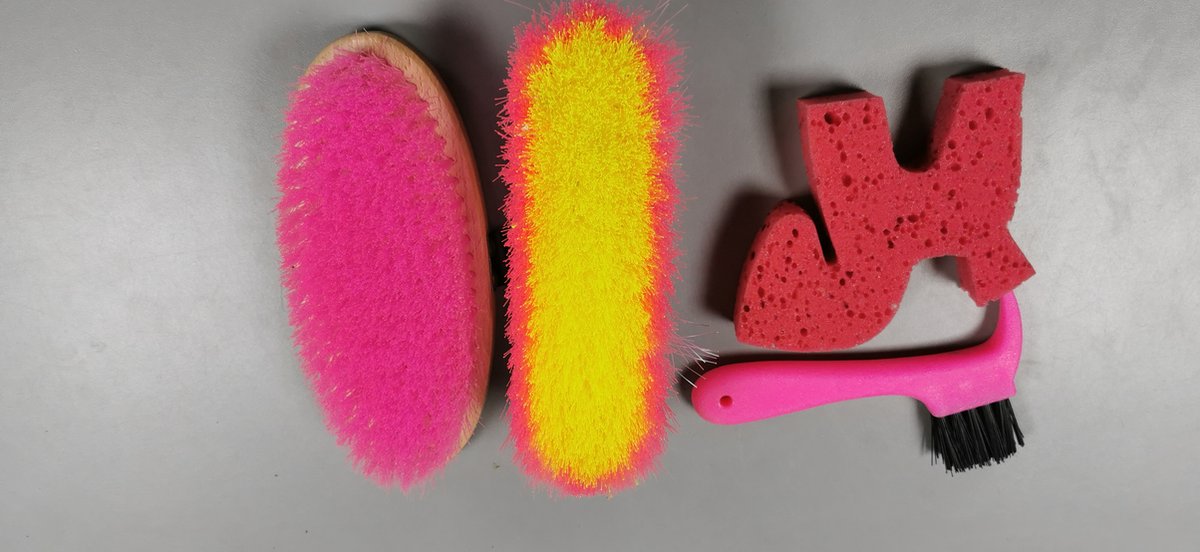 Goedkoopste Spons paard