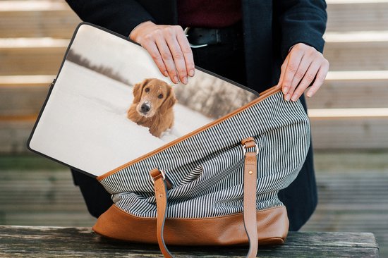 Housse ordinateur 13 pouces 34x24 cm - Free Animaux - Housse Macbook & Laptop Dog in the snow - Housse ordinateur portable avec photo