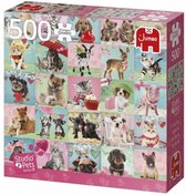 Jumbo Premium Collection Puzzel Studio Pets Lovely Day - Legpuzzel - 500 stukjes