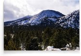 Walljar - San Francisco Peaks - Muurdecoratie - Poster