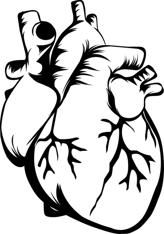 Décoration murale coeur humain mdf noir 457x650mm