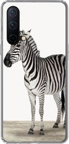 Geschikt voor OnePlus Nord CE 5G hoesje - Zebra - Meisjes - Dieren - Kinderen - Jongens - Siliconen Telefoonhoesje