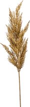 Plantenwinkel Grass Pampas Beige M 92 cm kunsttak per 1 stuks