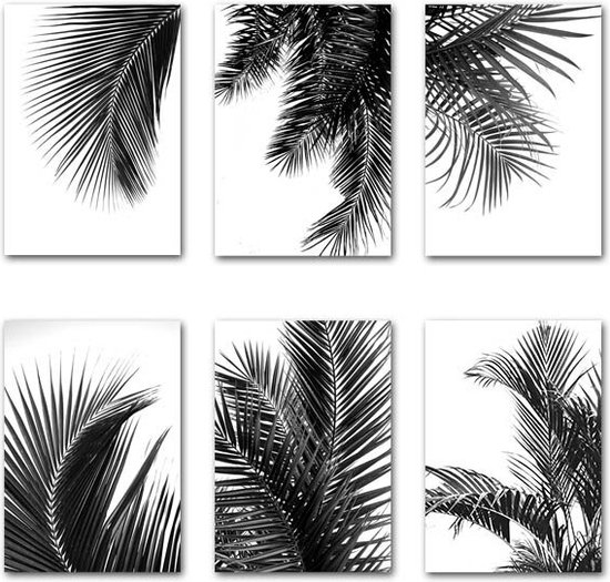 Palmboom Posters - Zwart Wit - 6 stuks - A4 formaat - Poster - Wanddecoratie - Kunst