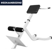 Gorilla Sports Hyperextensie Bank - Rugtrainer - Belastbaar tot 120 kg