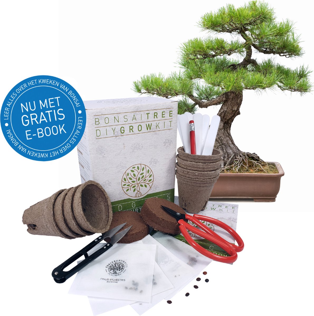 Grow2Go Bonsai Kit Avec Ebook Gratuit - Bonzai Set Avec Mini-Serre