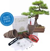 Edgics - Bonsai Starters Kit - Boompjes Kweken - incl. e-book - Geschenkset