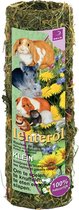 LENTEROL S 20CM