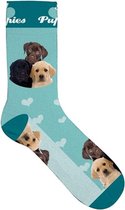 - SOKKEN PUPPIES 37-42