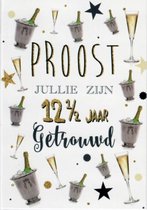 Proost! Jullie zijn 40 jaar getrouwd! Van harte gefeliciteerd! Een bijzondere kaart met champagne en sterretjes. Leuk om zo te geven of om bij een cadeau te voegen. Een dubbele wen