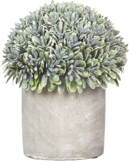 Pomax - Kunstbloem / kunstplant / Artificiële plant in pot - Groen / grijs / wit - ø 12 x 14 cm hoog.