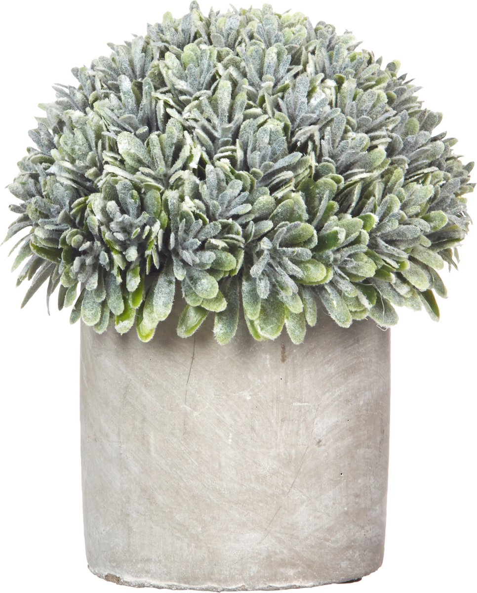 Pomax - Artificiële plant in pot 'Concrete Jungle' (Groen)