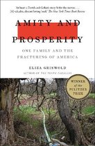 Amity and Prosperity One Family and the Fracturing of America  Winner of the Pulitzer Prize for NonFiction 2019
