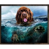 Eagle® Diamond Painting Volwassenen - Hond in Water - 50x40cm - Vierkante Steentjes