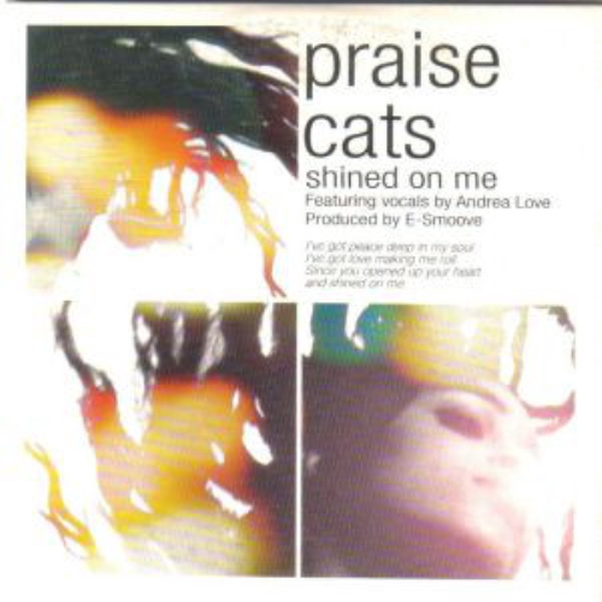 Praise Cats - Shined On Me